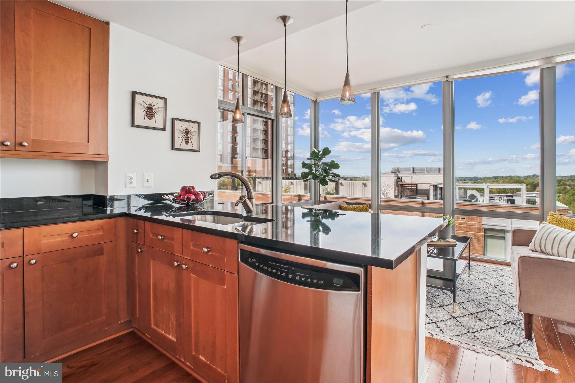 MIDTOWN AT RESTON TOWN CENTER - Residential