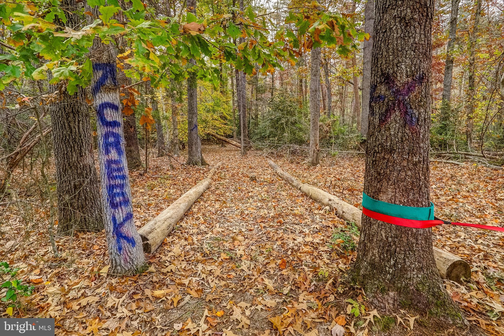 BLUEWATER - Residential