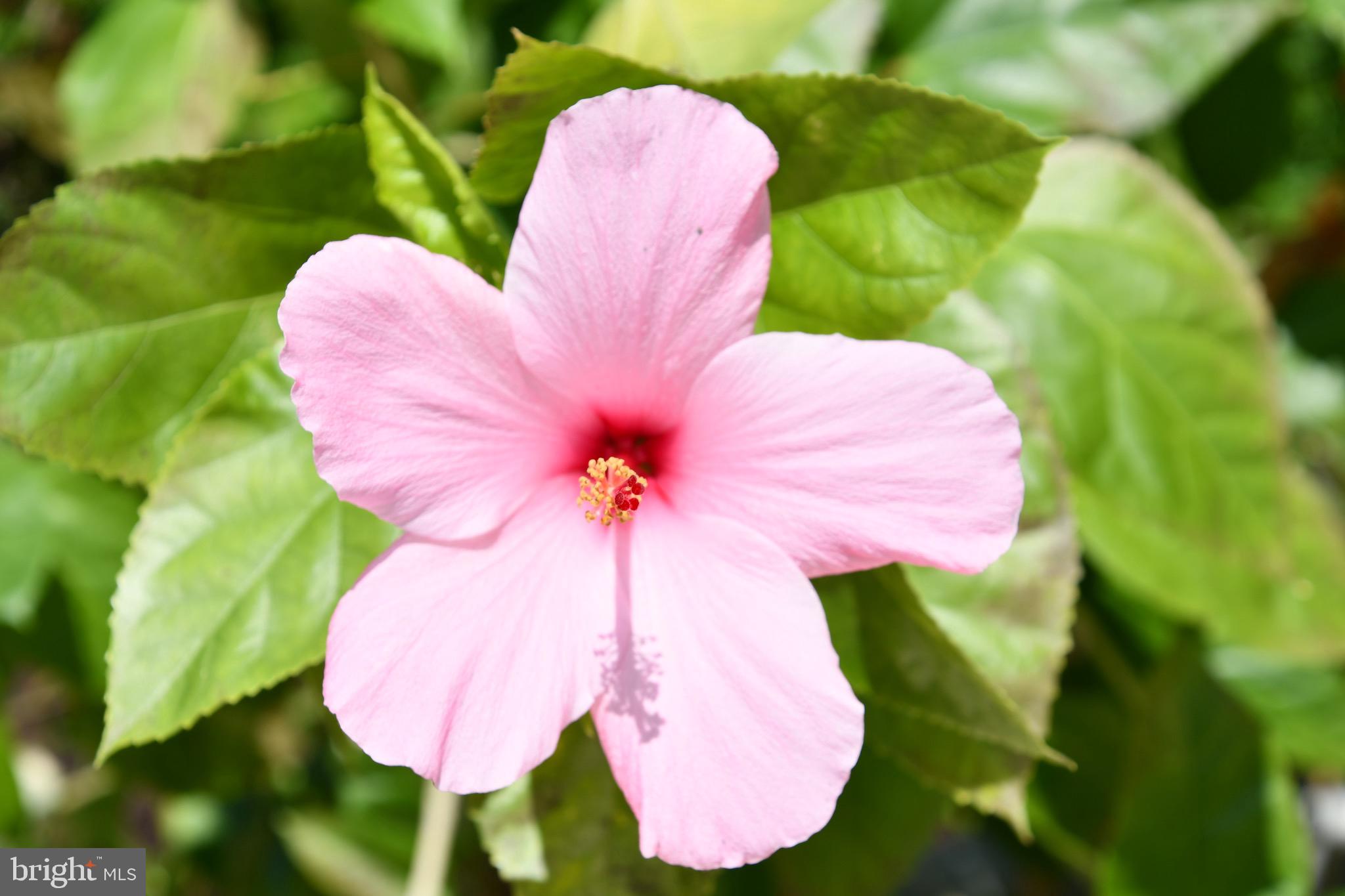 WATERGATE AT LANDMARK - Residential Lease