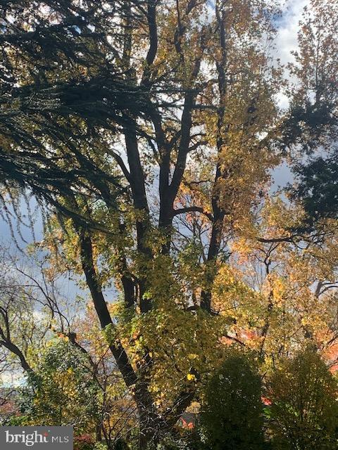 OLD TOWN ALEXANDRIA - Residential