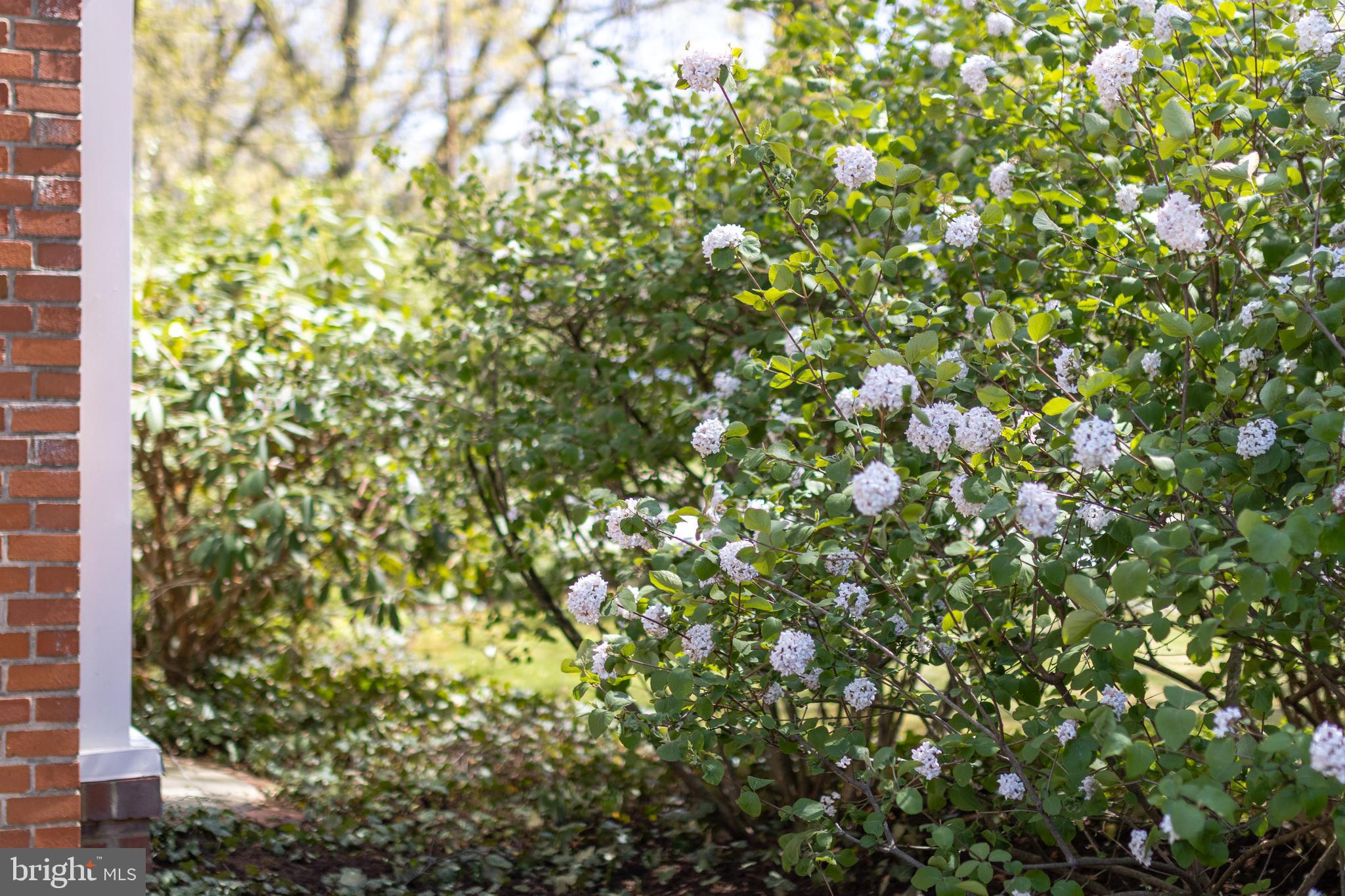 COLLEGE HEIGHTS - Residential