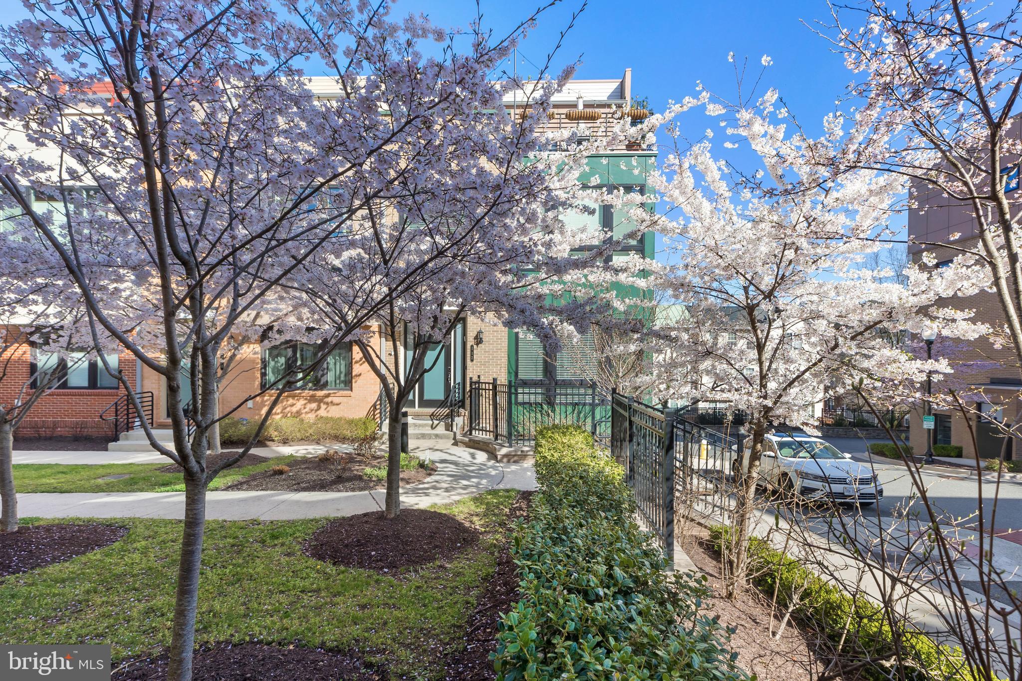 CAMBRIA SQUARE - Residential Lease