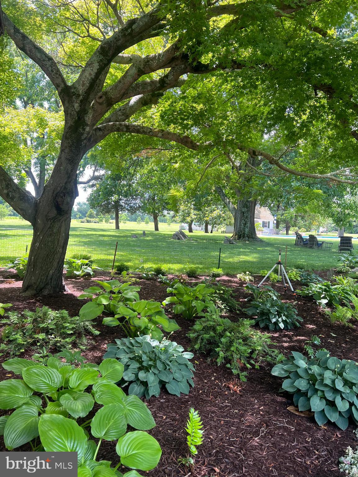 HAMPDEN - Residential