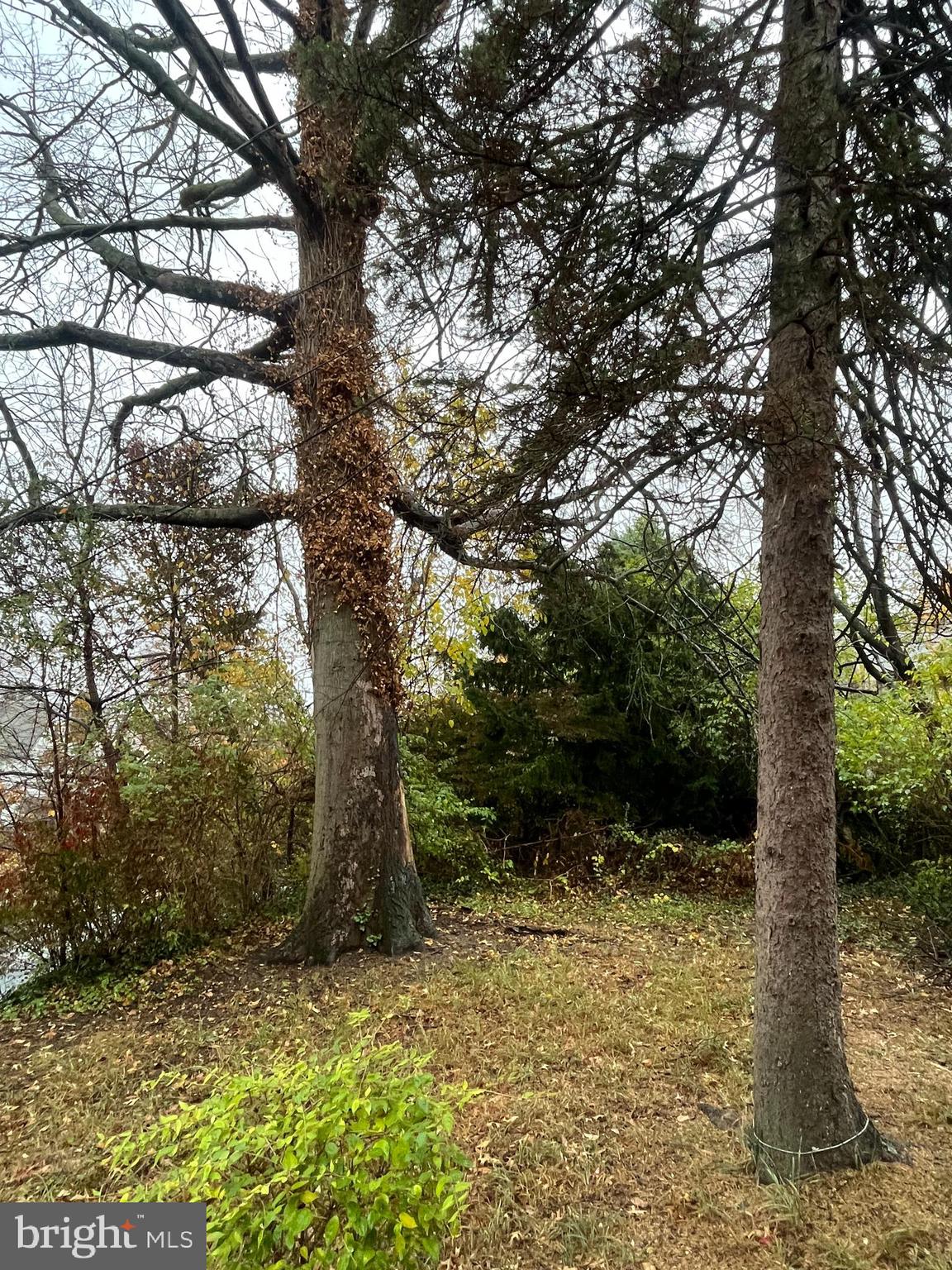 DREXEL HILL - Residential