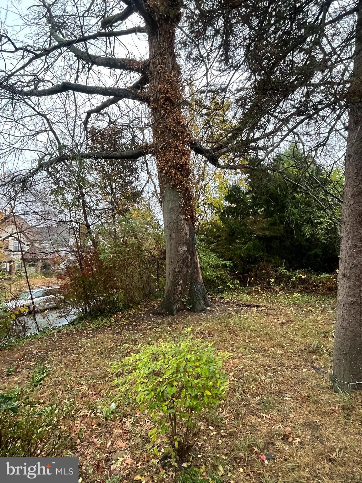 DREXEL HILL - Residential