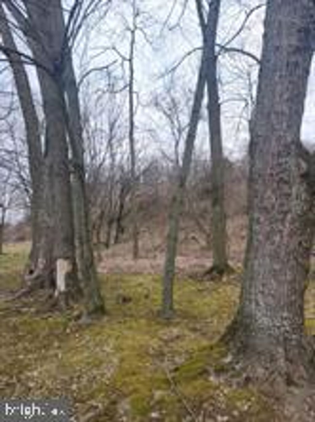 Photo of 103 Tri Hill Road, YORK, PA 17403 (MLS # PAYK2097200)