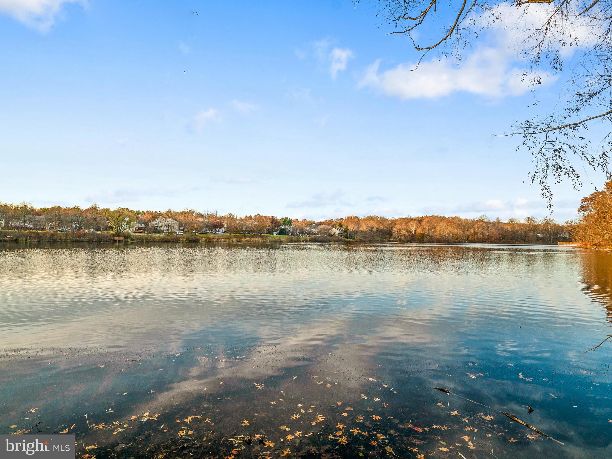GUNNERS LAKE VILLAGE - Residential