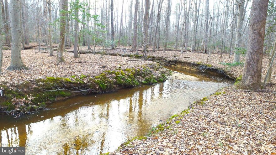 Huge 58.58 acre GORGEOUS building lot in Leonardtown, Maryland! Peace, privacy and tranquility await you! This is an amazing opportunity to buy now and build later or build your dream home now on this spectacular building lot!  GPS takes you to where driveway would be built.  Approved site plan and approved building permit in Docs Section.  Approved for a 5 bedroom rambler with a HUGE 1140 sq ft garage and a basement.  One sand mound type perc site on the property has also been approved. The parcel is entirely wooded and is in a Forest Stewardship Plan (FSP). There is an abandoned underground pipeline.  Property is assessed Agriculturally, so subject to AG tax if buyer does not want to continue program.  Approximately 2 acres has been cut out for the home site. The limits of disturbance have been marked on both the Site Plan and on the lot itself.  You will note the yellow and red flags on the property.  Please see all documents in Document Section for additional information and recent bids for site work.