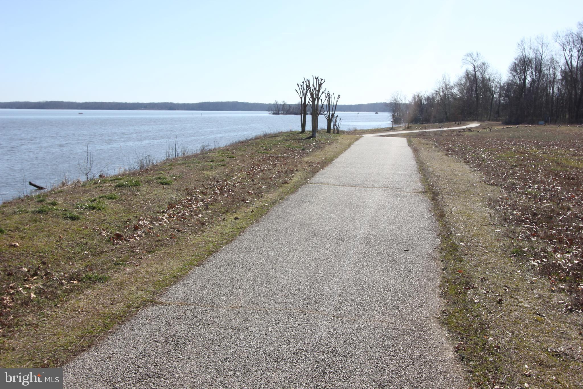 HARBOR POINT WEST CONDO - Residential