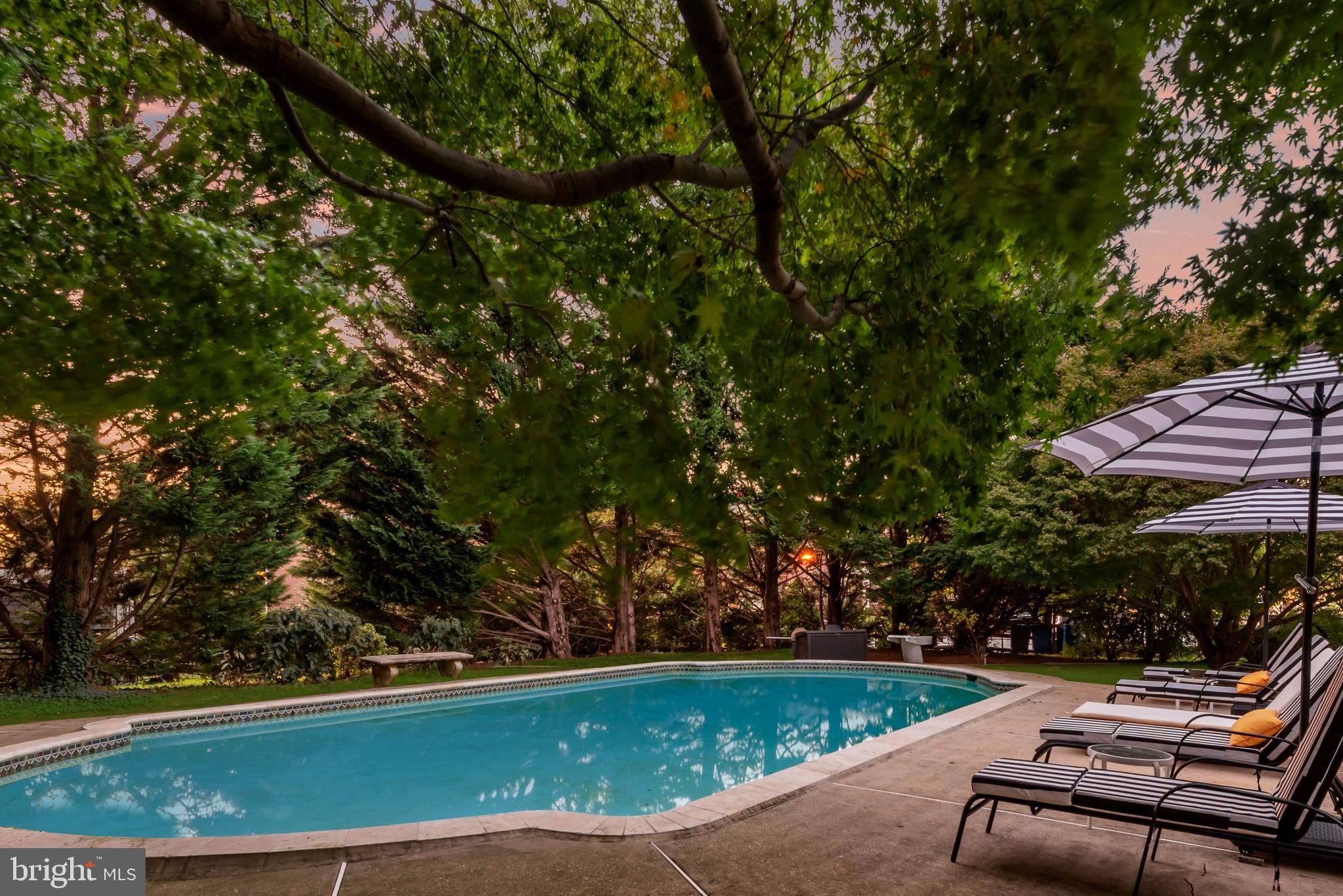 336 LYON COURT