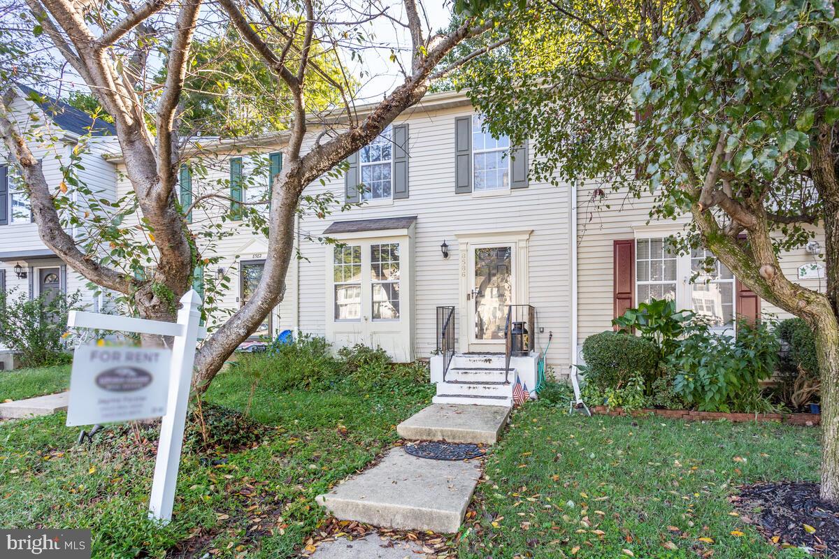 CHESAPEAKE LIGHTHOUSE - Residential