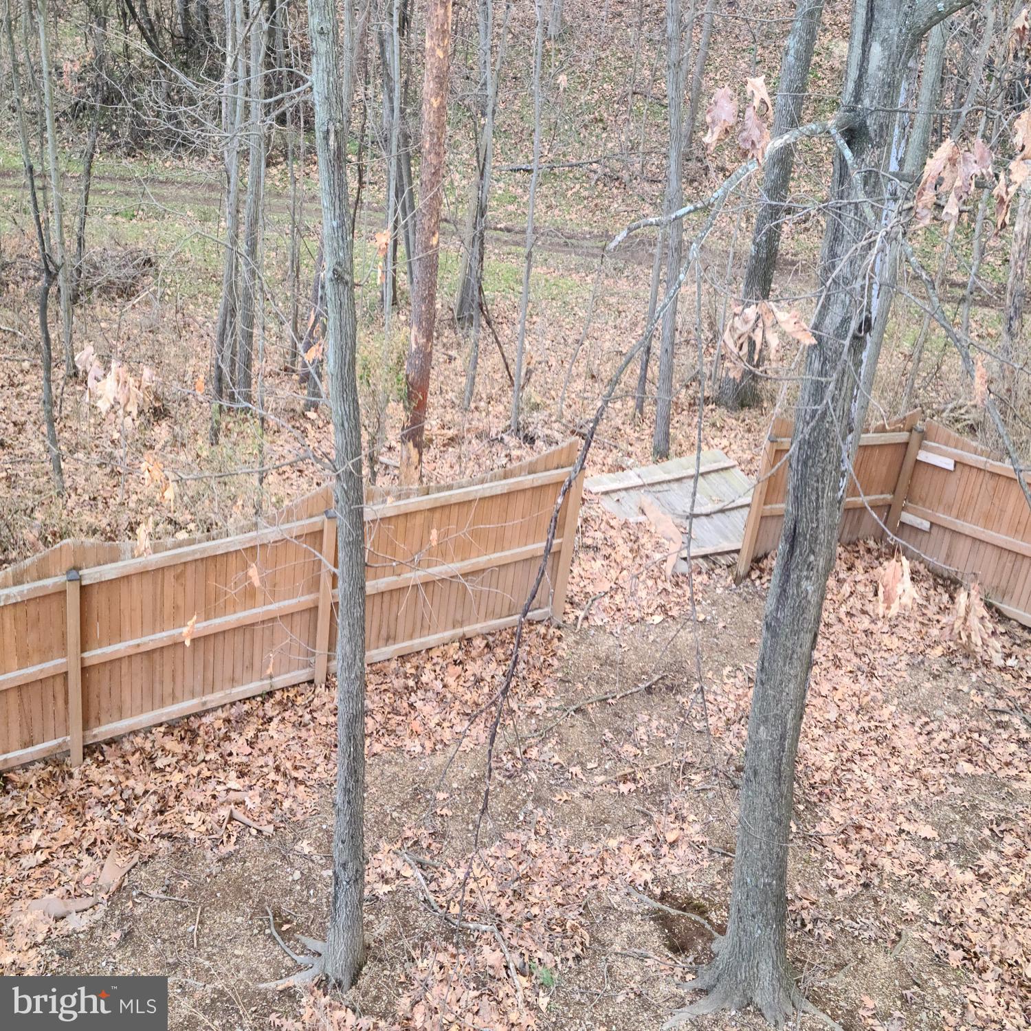 HILL VALLEY - Residential Lease