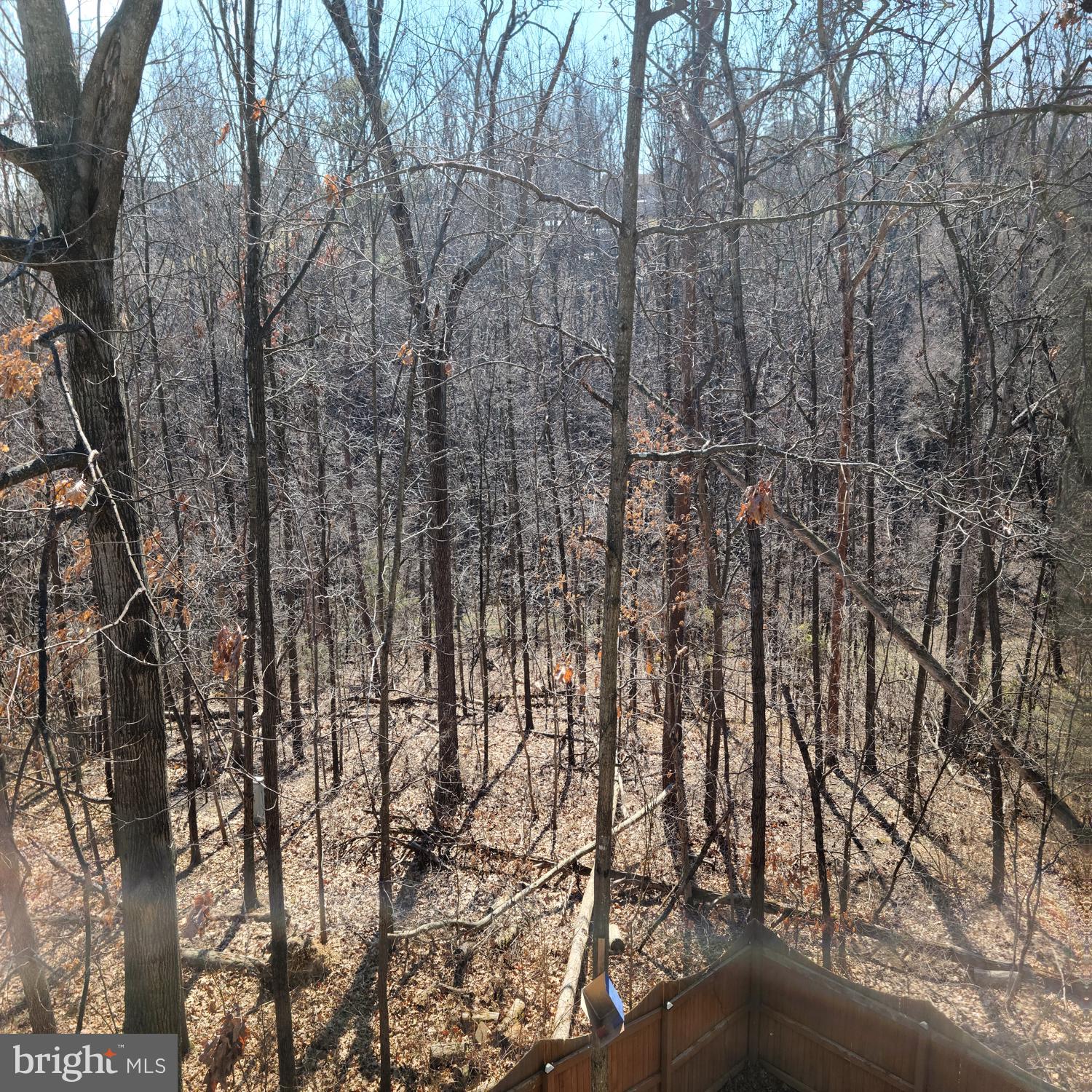 HILL VALLEY - Residential Lease