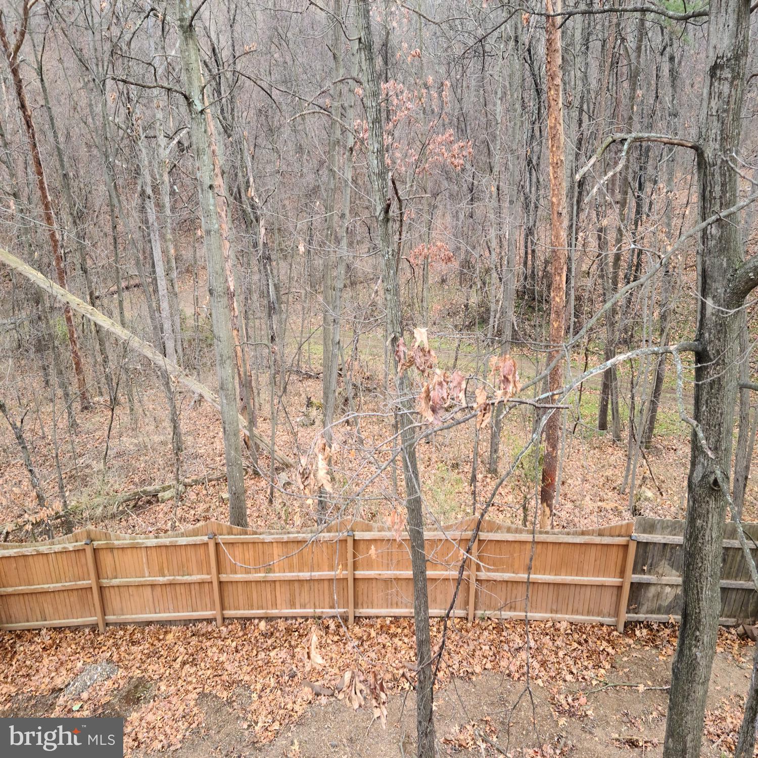 HILL VALLEY - Residential Lease