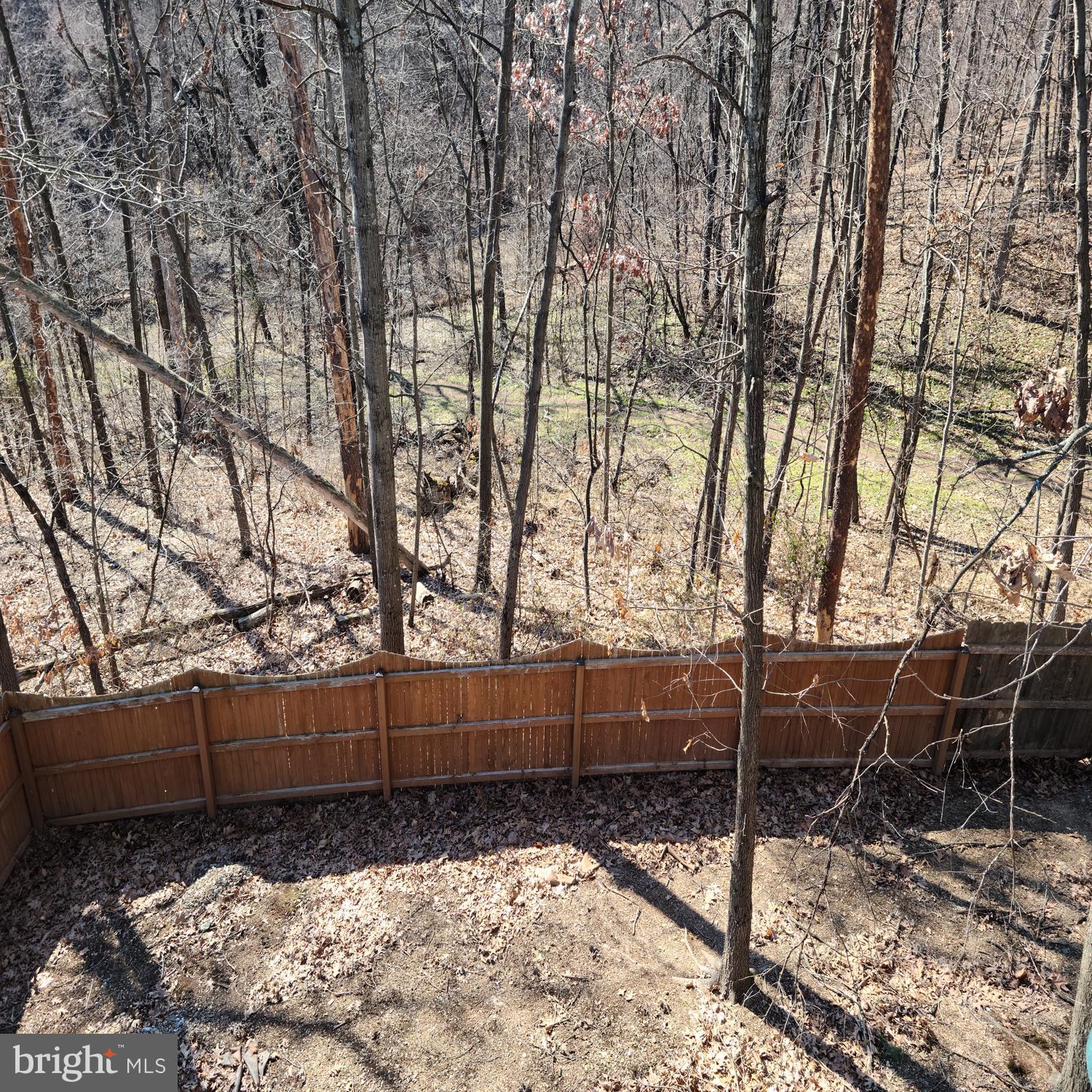 HILL VALLEY - Residential Lease