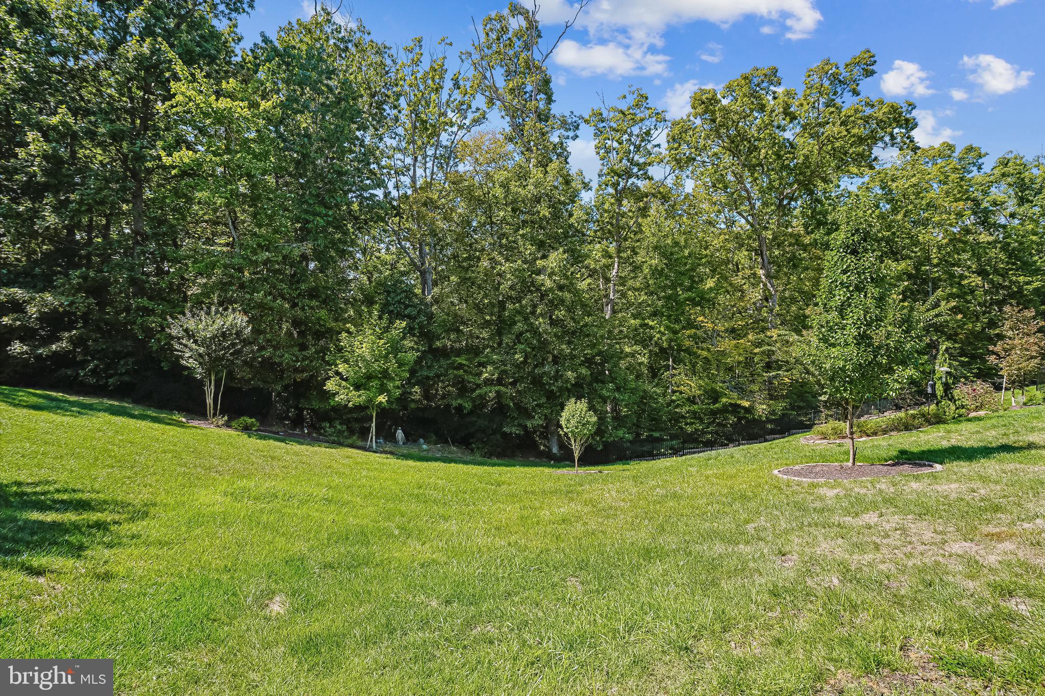 CELEBRATE VIRGINIA NORTH - Residential