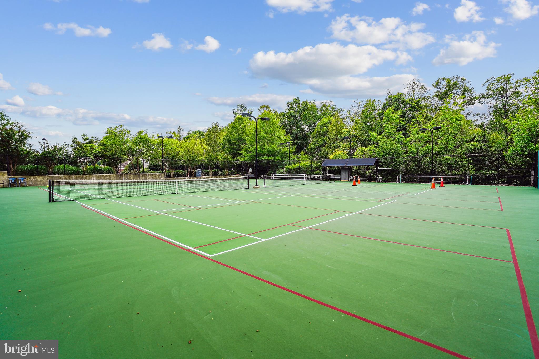 CELEBRATE VIRGINIA NORTH - Residential