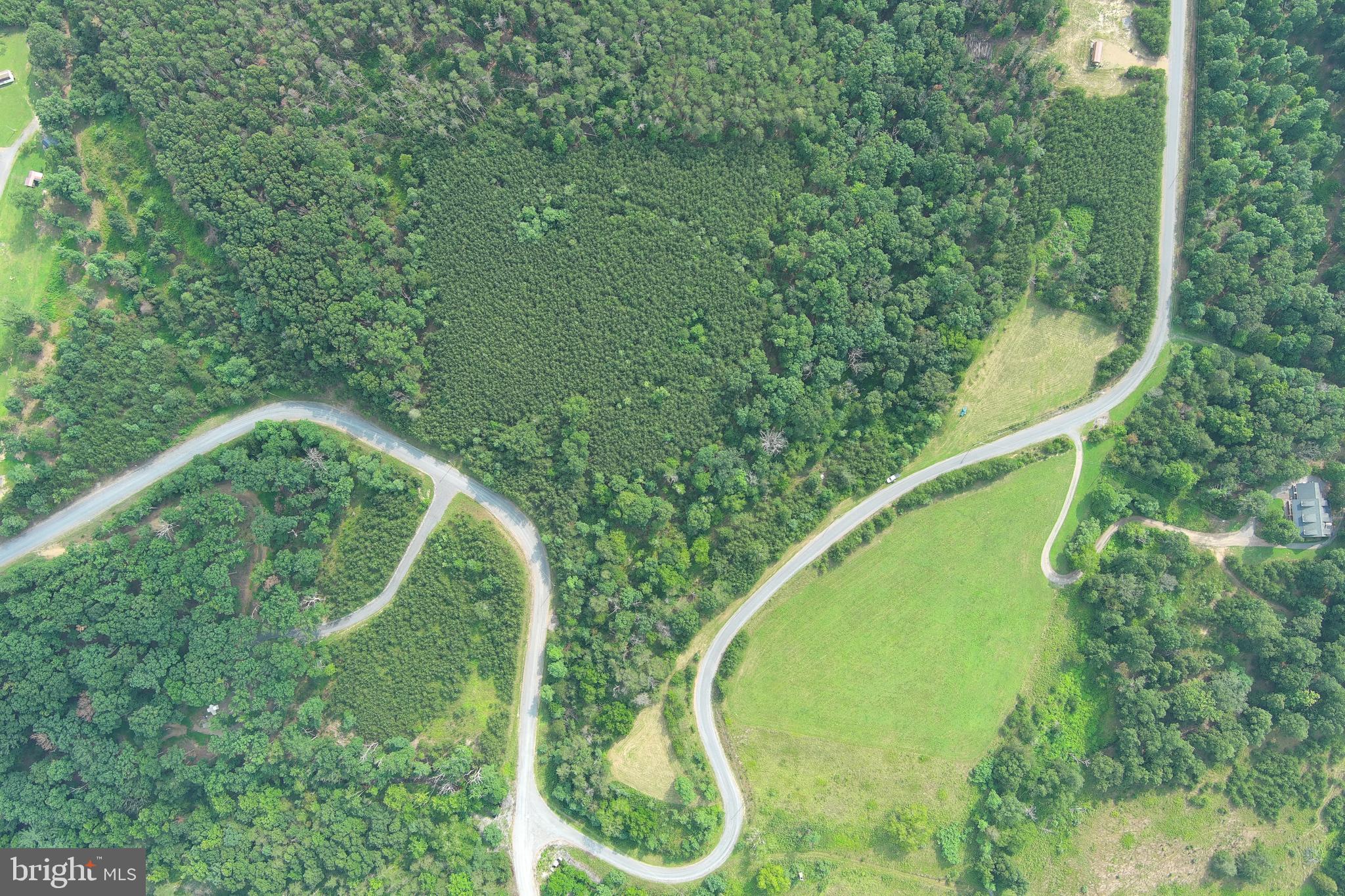 LOT 28 QUIVEY'S GROVE