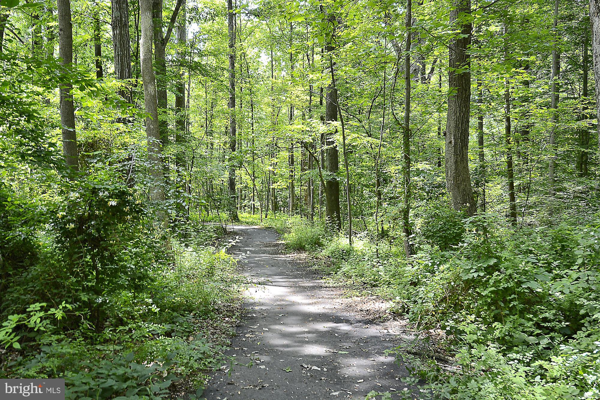 MANTUA - Residential Lease