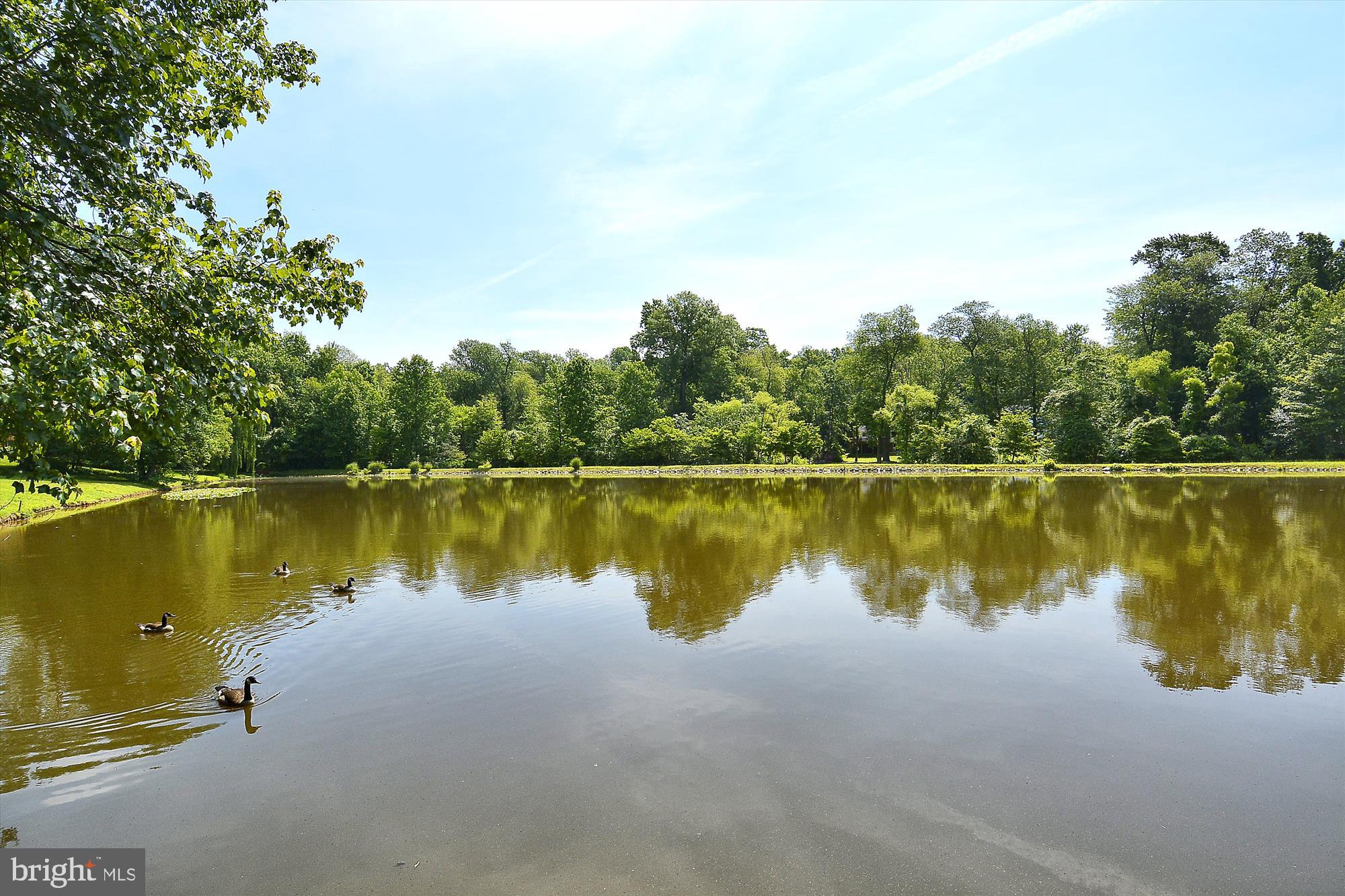 MANTUA - Residential Lease