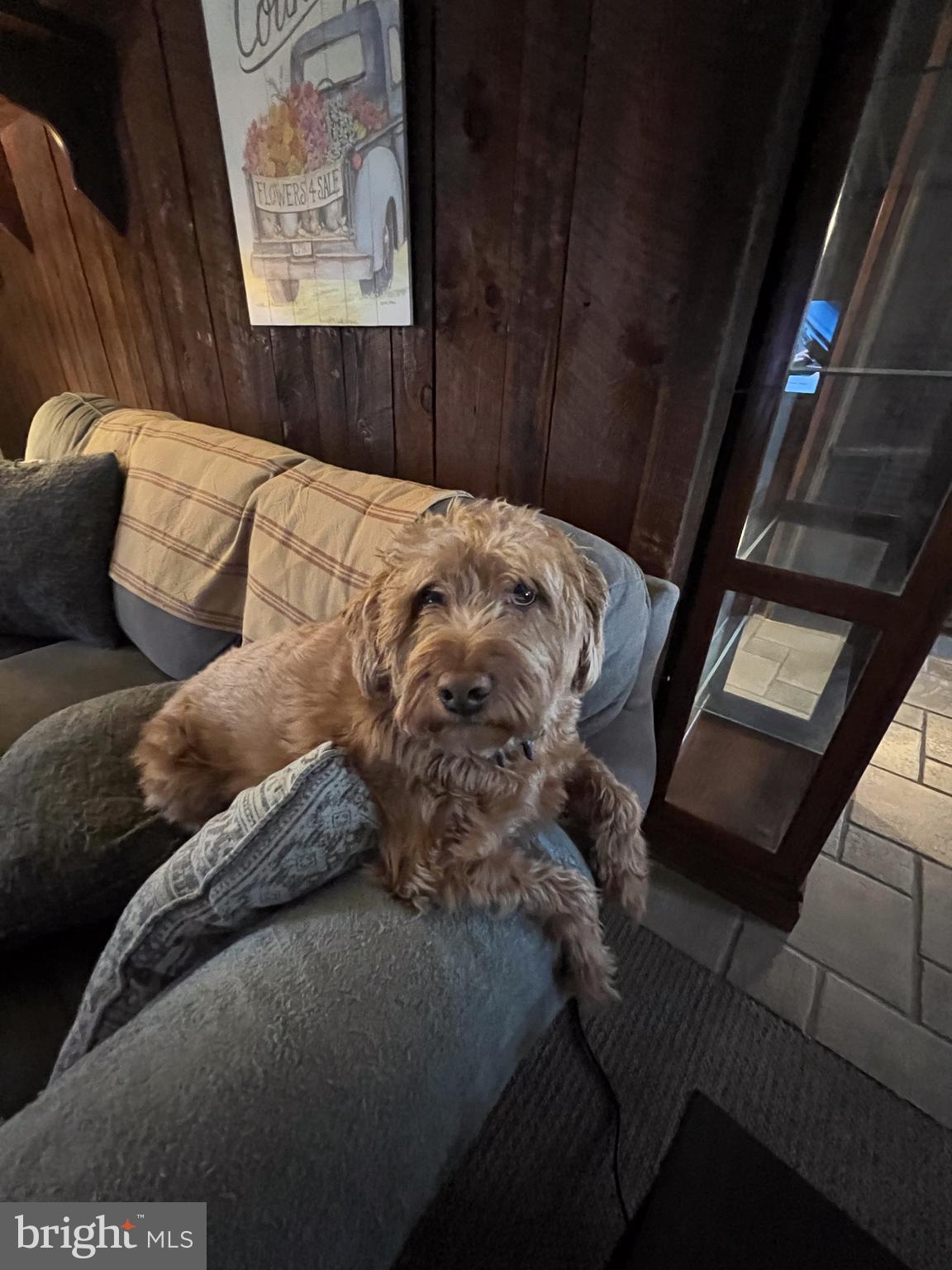 BRATTON - Residential