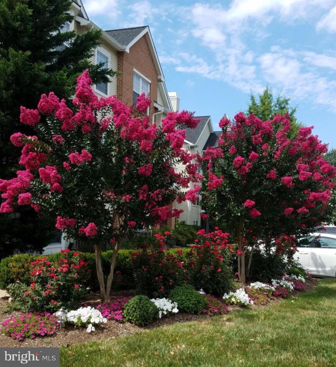 RANDOM HILLS - Residential Lease