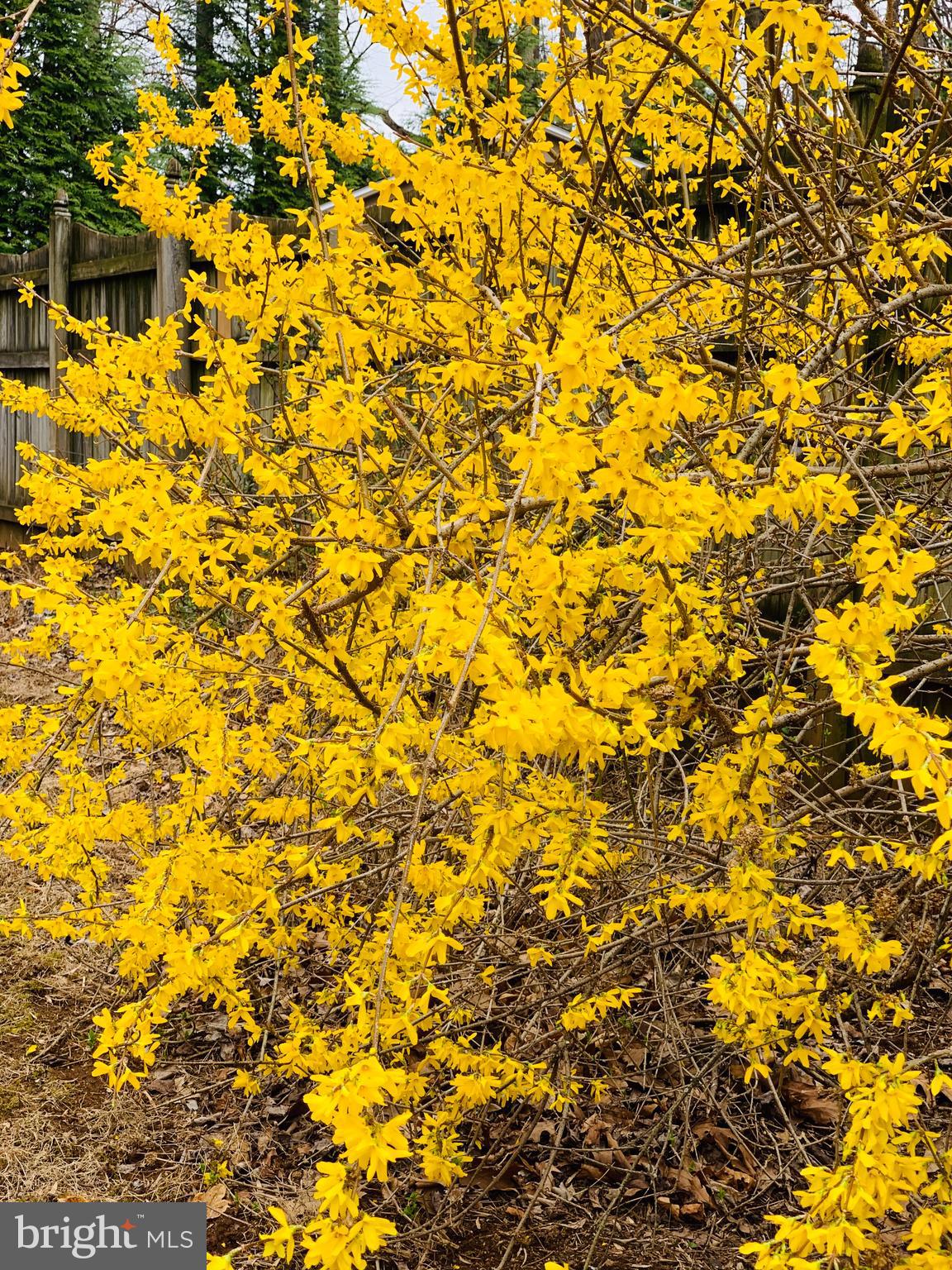 BURLEIGH MANOR - Residential