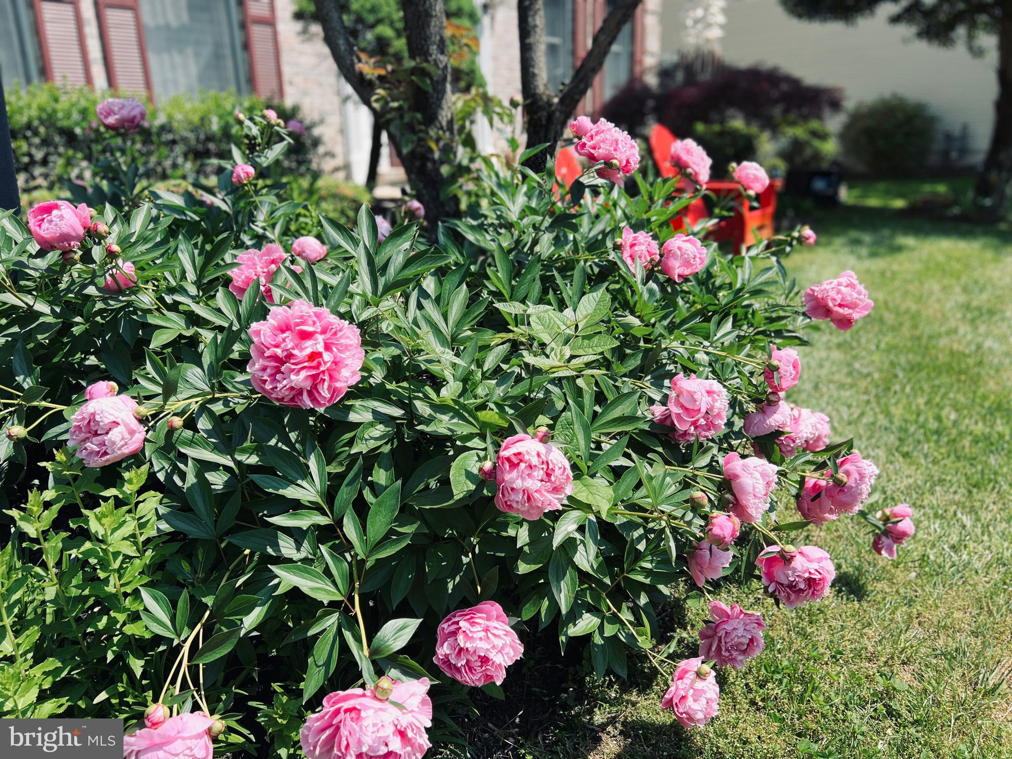 BURLEIGH MANOR - Residential