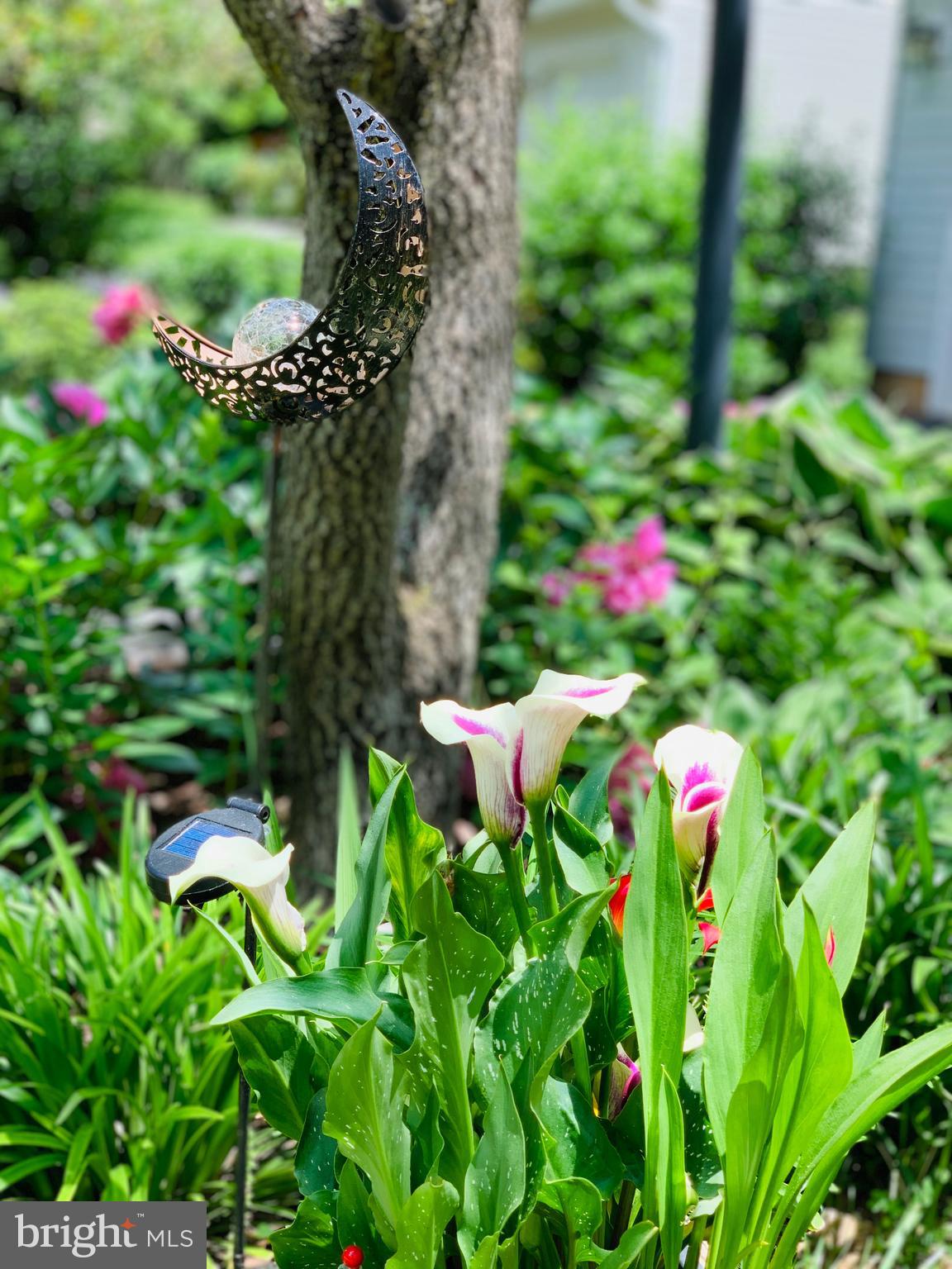 BURLEIGH MANOR - Residential