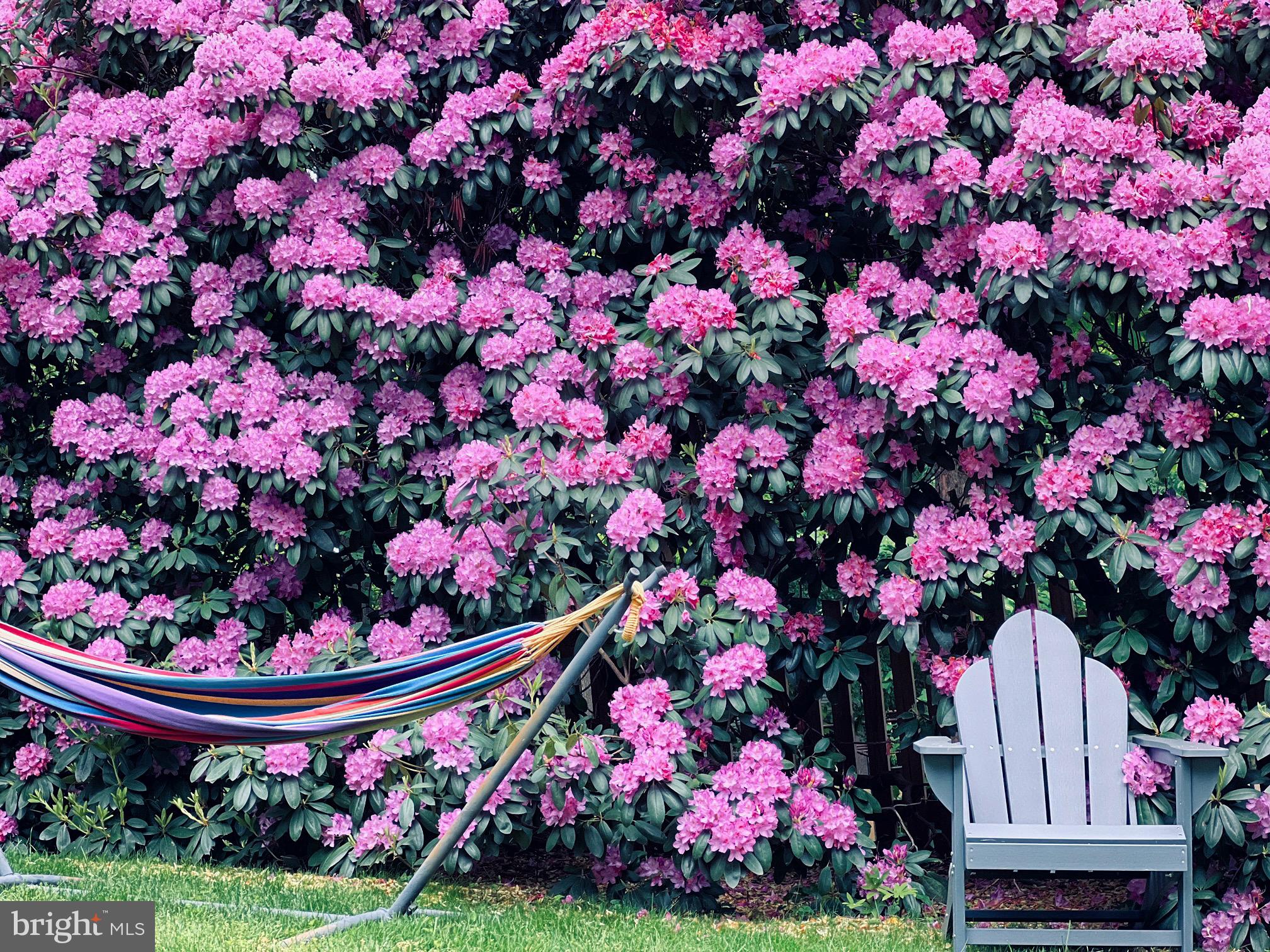 BURLEIGH MANOR - Residential