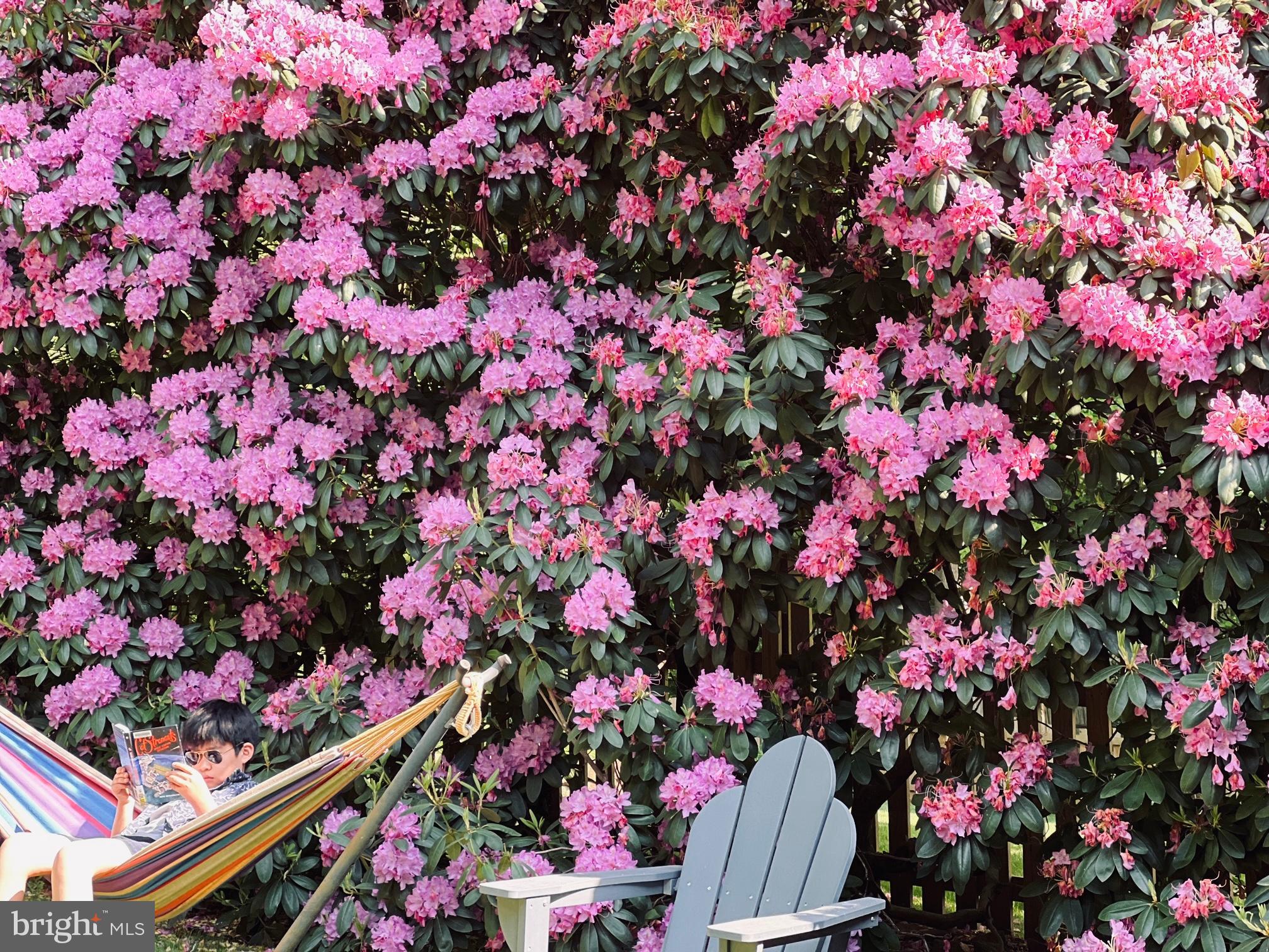 BURLEIGH MANOR - Residential