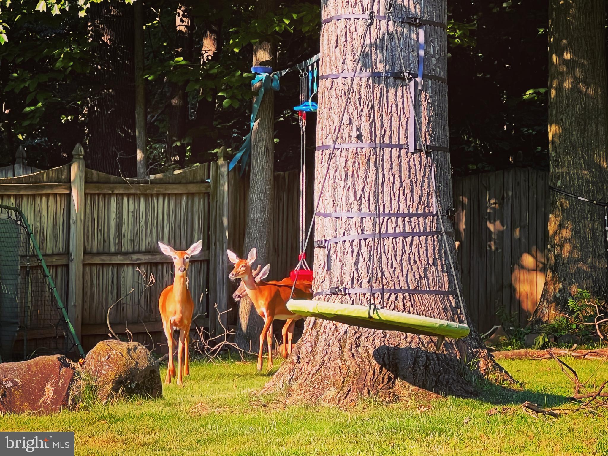 BURLEIGH MANOR - Residential
