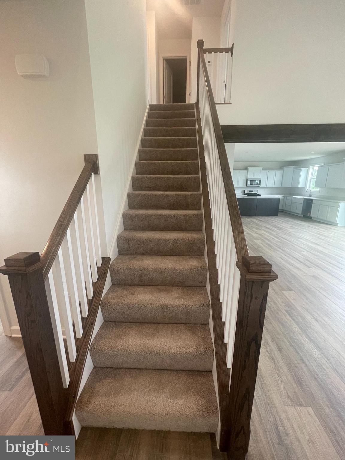 STEEPLE CHASE - Residential