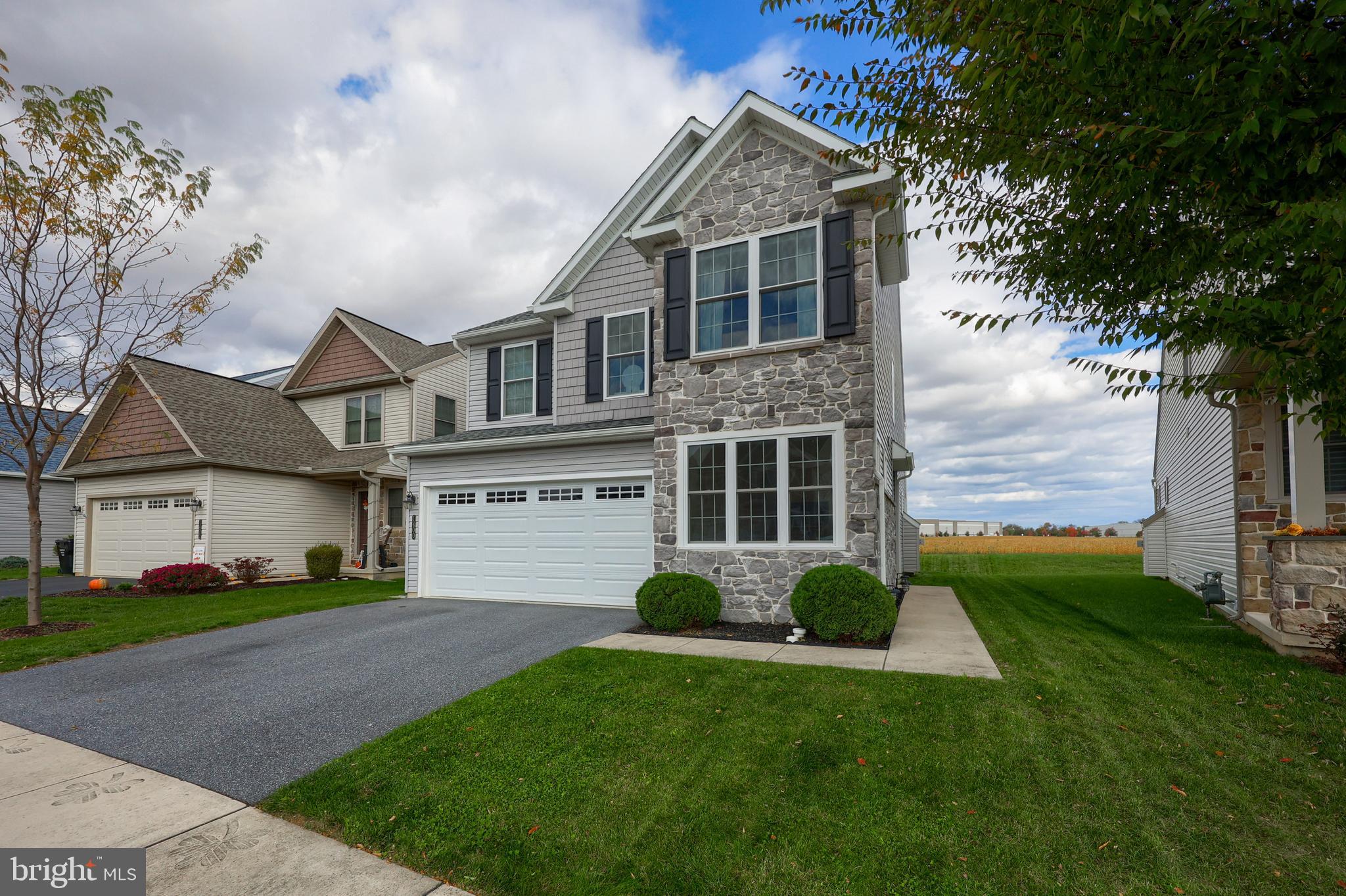 ELM TREE - Residential