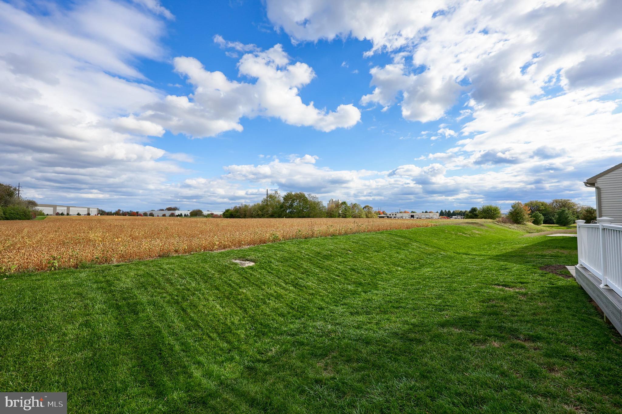 ELM TREE - Residential