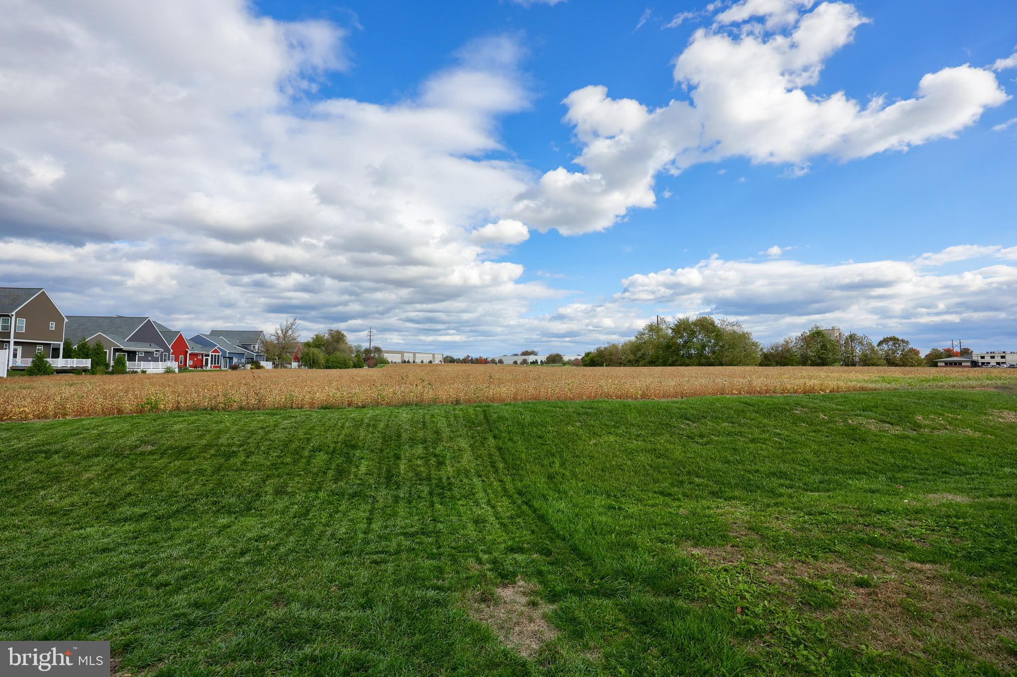 ELM TREE - Residential