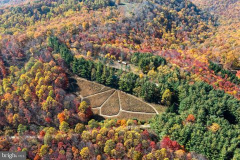 Photo of 7242 Files Creek Road, BEVERLY, WV 26253 (MLS # WVRN2000090)