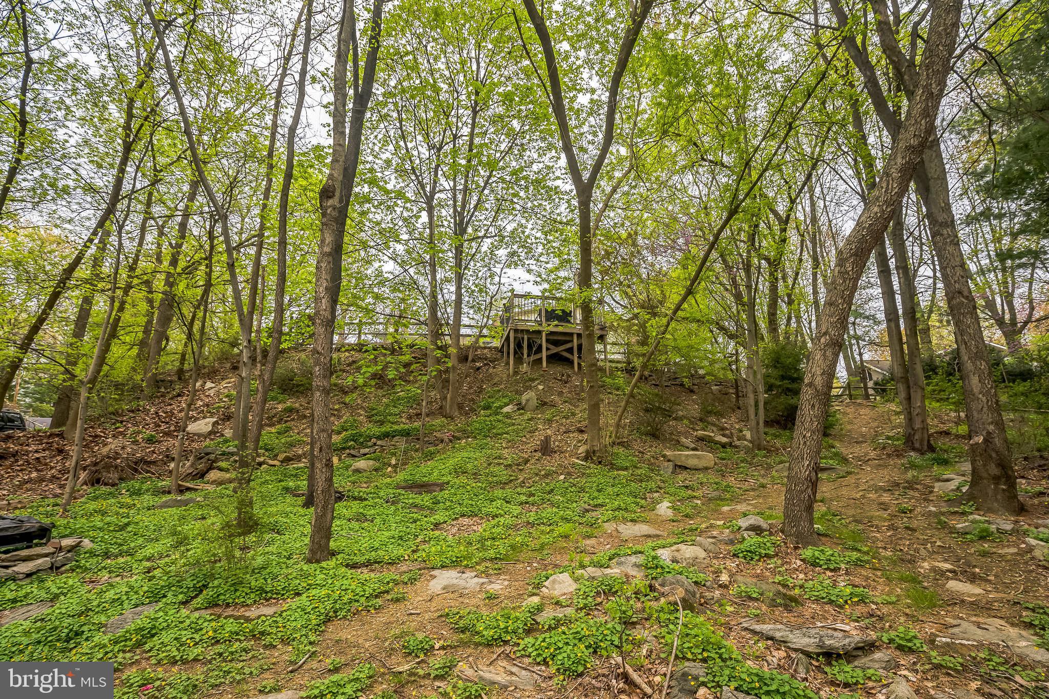 FRAZIER WOODS - Residential