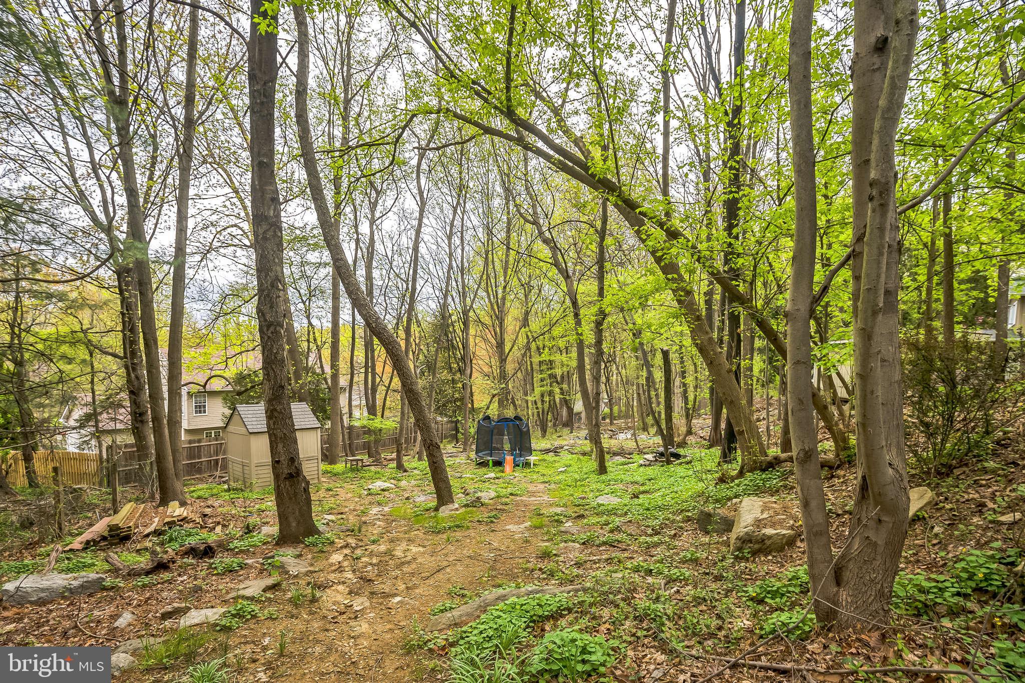FRAZIER WOODS - Residential