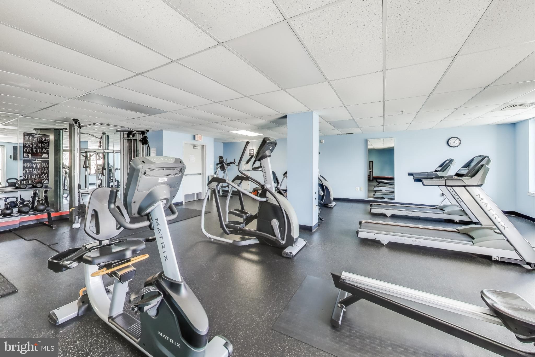 ISABELLA AT MONTICELLO MEWS - Residential