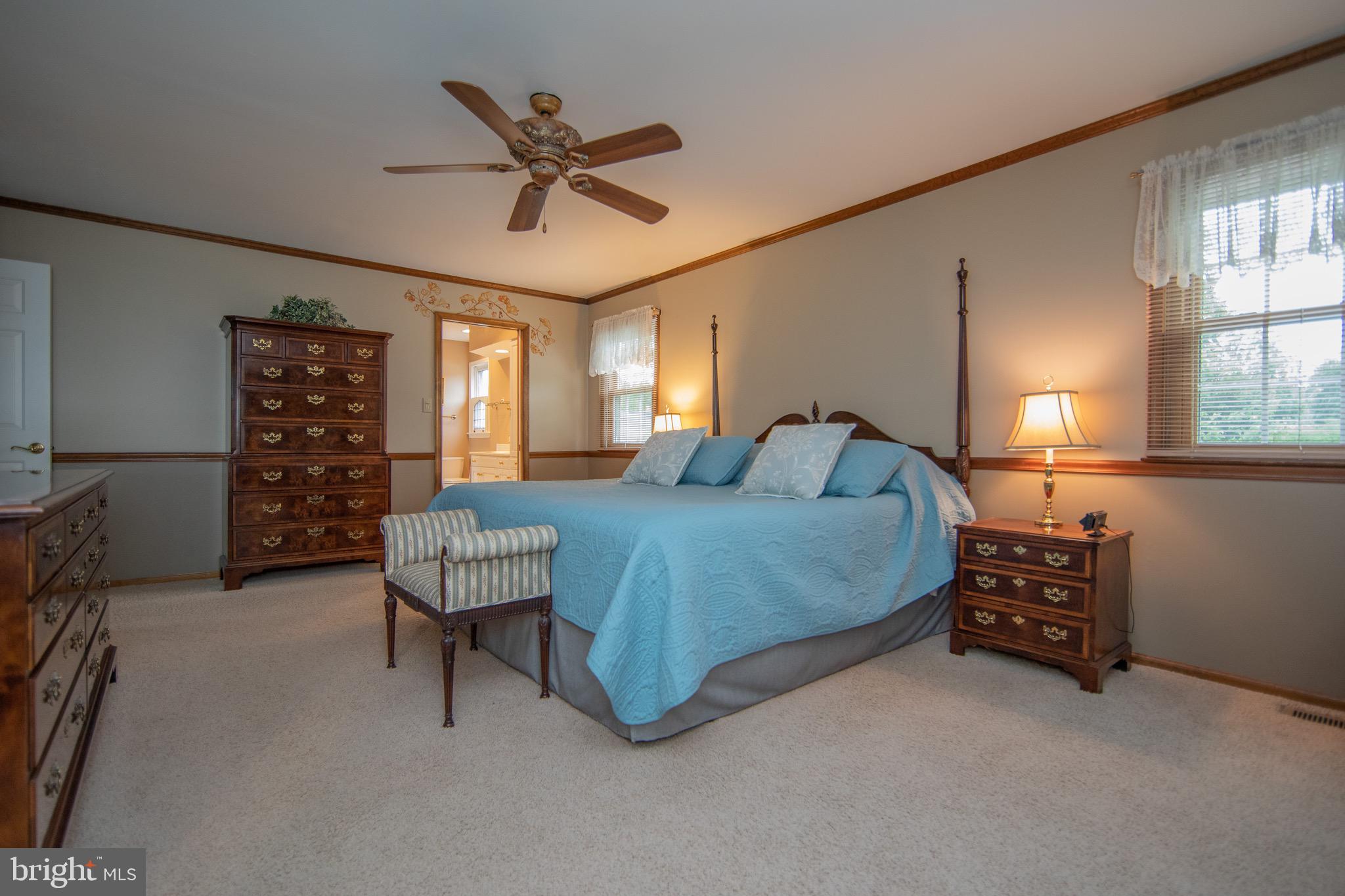 MILL VALLEY - Residential