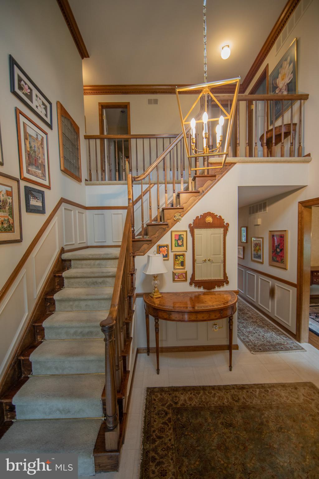 MILL VALLEY - Residential