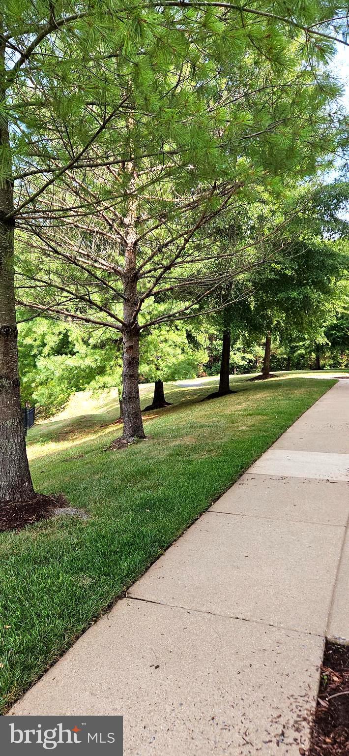 WATKINS PARK - Residential Lease