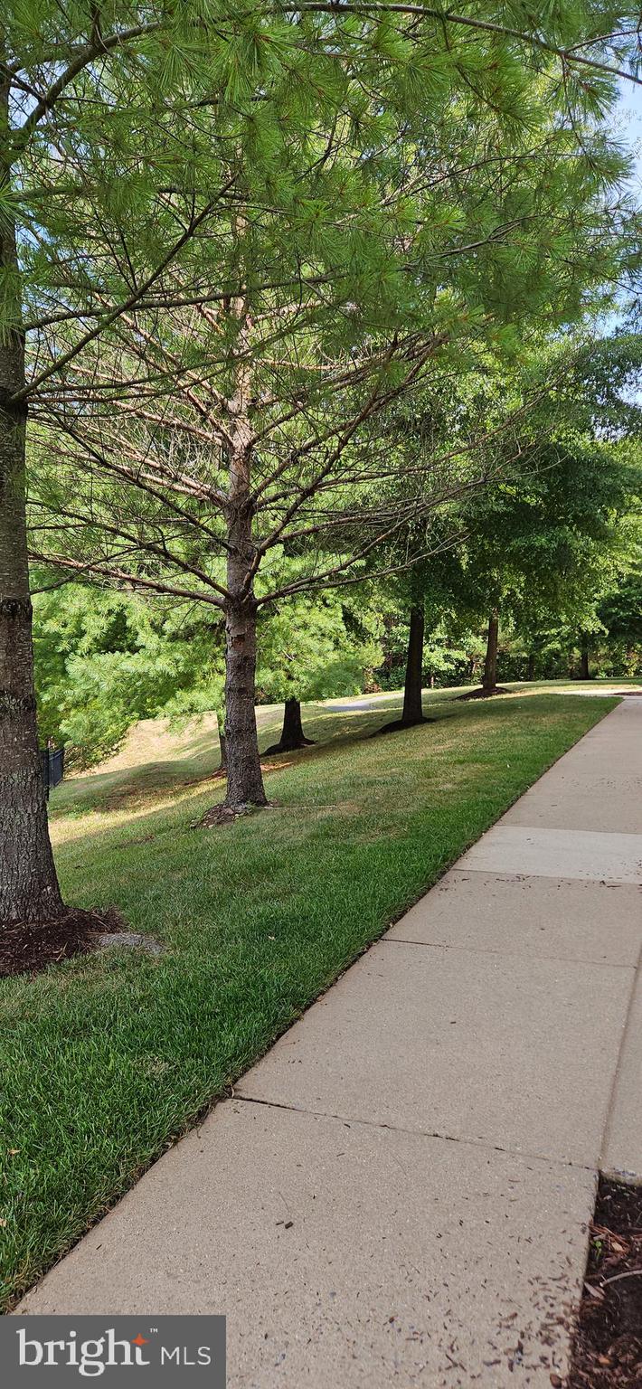 WATKINS PARK - Residential Lease