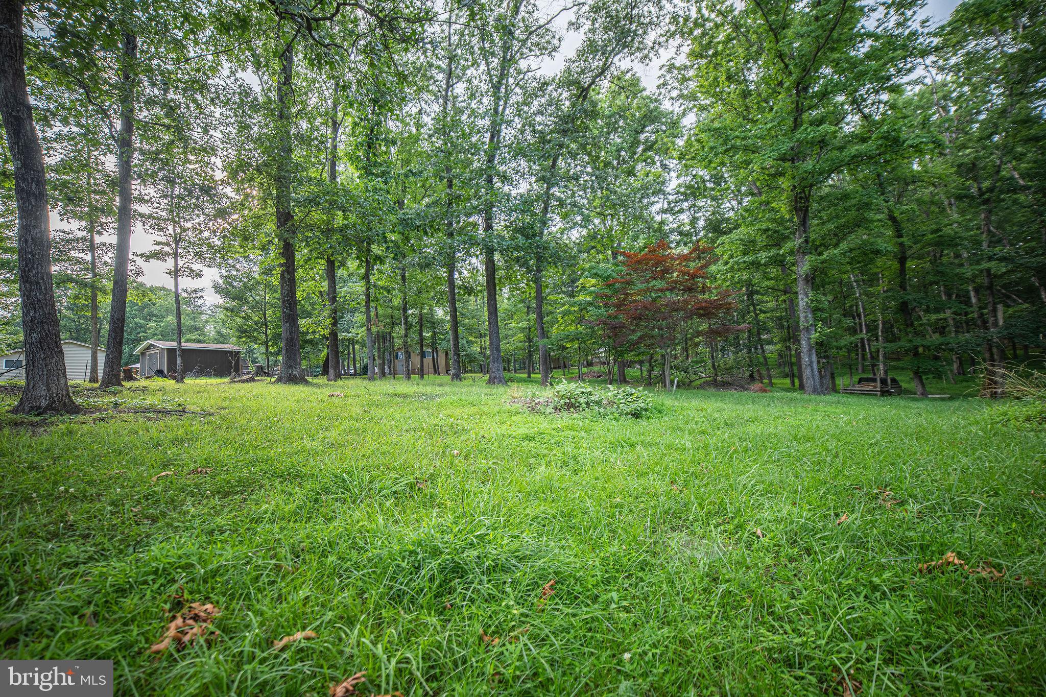 THE WOODS RESORT - Residential