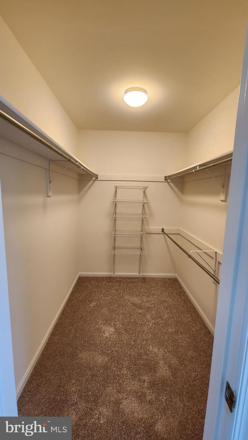 KINGSTOWNE - Residential Lease