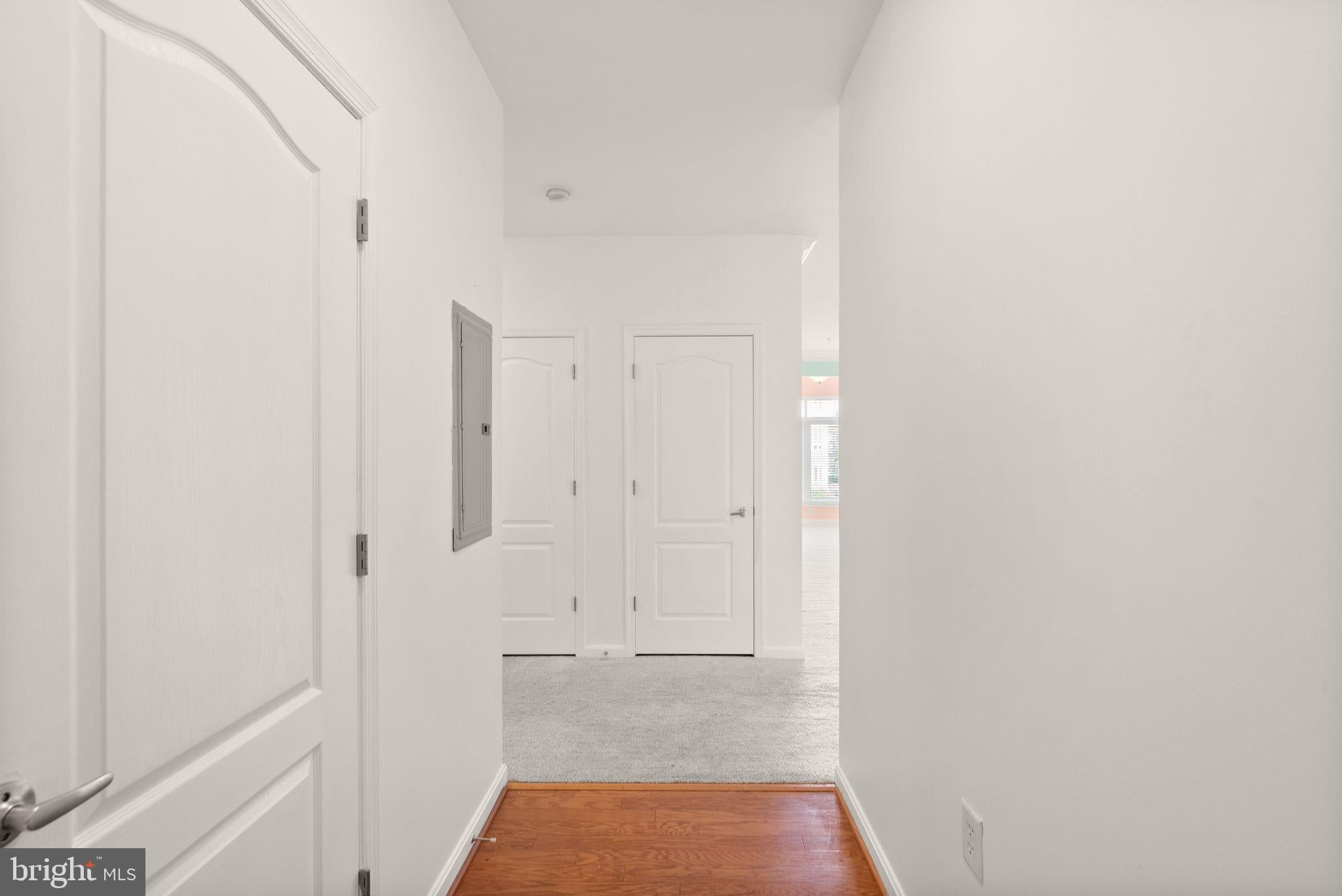 1601 LADUE COURT 203