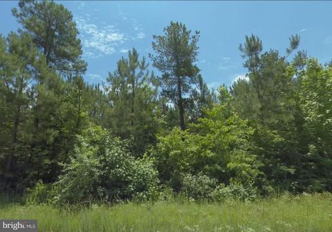 Vacant Land For Sale - LOT 6 Dillard Rd<br/> Brunswick County, LAWRENCEVILLE, VA 23868