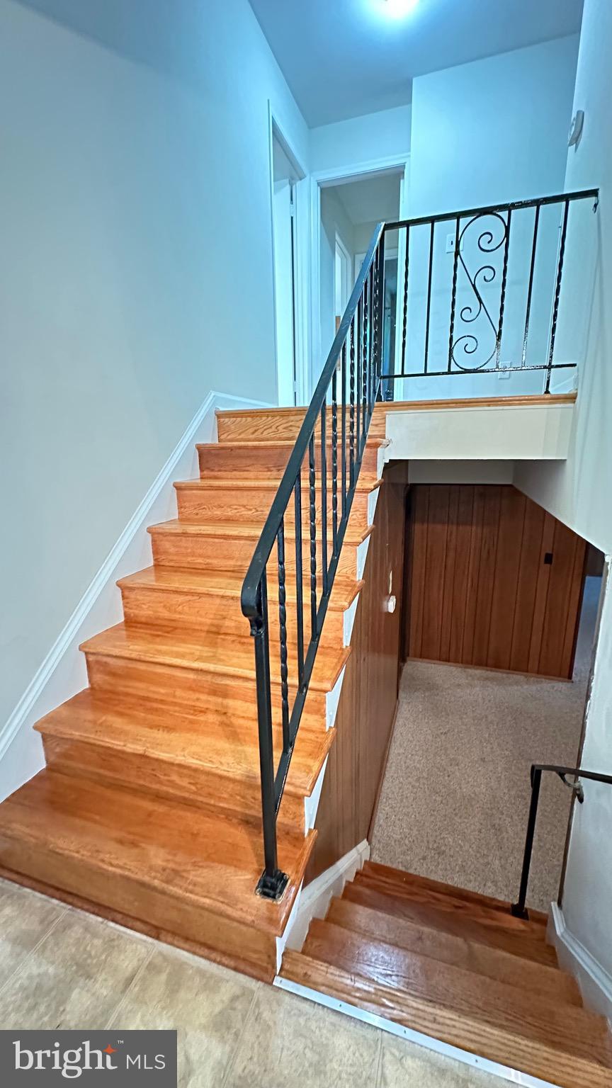 NORTH SPRINGBROOK - Residential