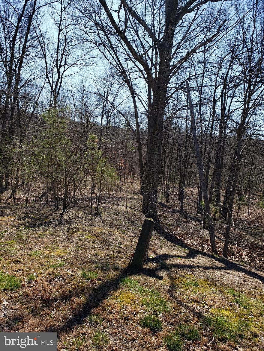 Wooded building lot south of Berkeley Springs in a lovely development.  Across from the Cacapon State Park. Enjoy the amenities at the park, including the 18 hole Robert Trent golf course, plenty of hiking, lake for fishing and boating, restaurant at the newly renovated lodge.  Come build your full time or part time retreat home.